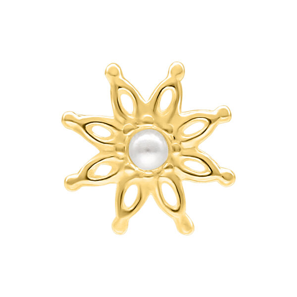 Push Fit Bloom Attachment for Bioplast - Golden Metal