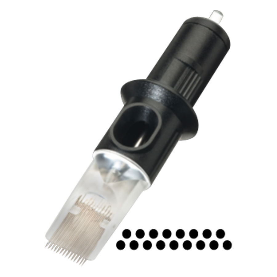Testina nera Cheyenne Magnum su sfondo bianco