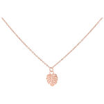 Kette mit Monstera Blatt Anhänger in Roségold auf weißem Hintergrund