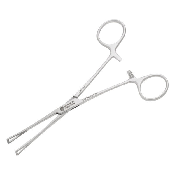 Pinza Micro Duval in acciaio inox su sfondo bianco